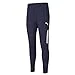 Chollo moda tallas sueltas: Puma Pantalones teamLIGA Training Pants Pro